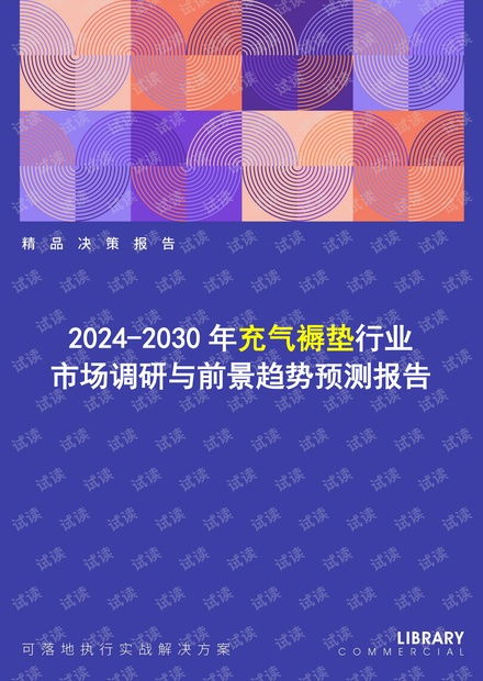 2024-2030年充氣褥墊行業(yè)市場調(diào)研及前景趨勢預(yù)測報(bào)告